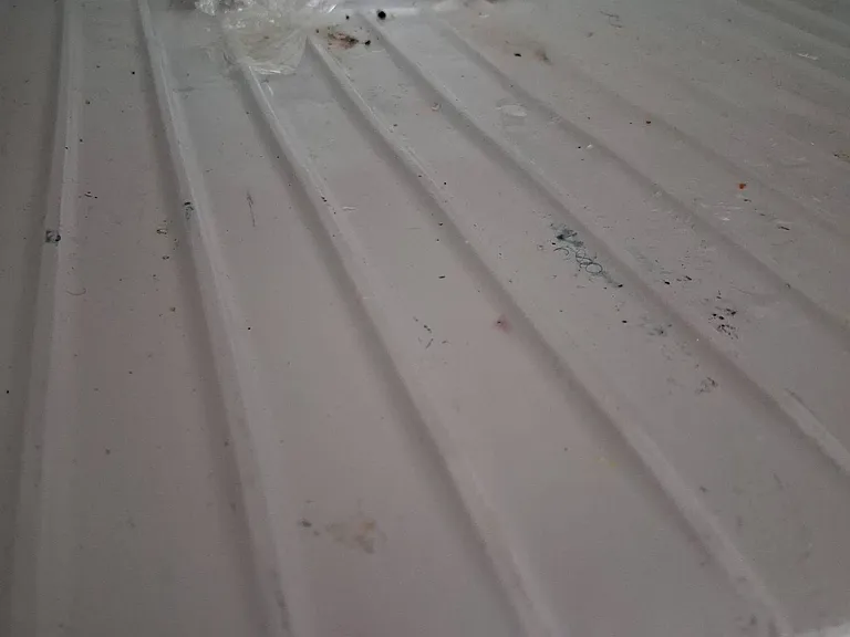 Refrigerator inside