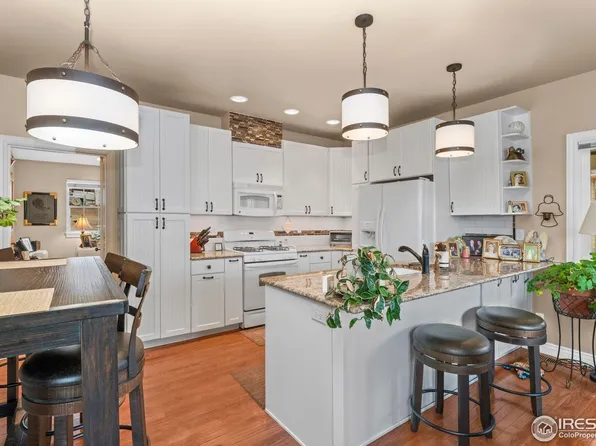 365 N Bridge St, Nederland, CO 80466