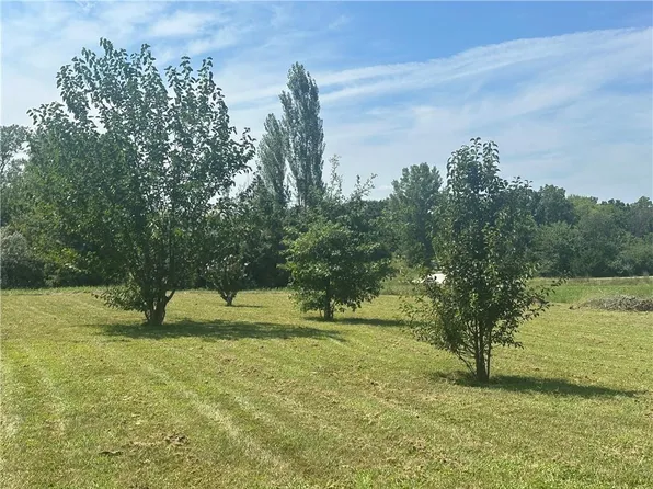 Pine Dr, Odessa, MO 64076