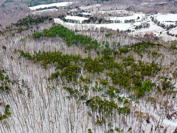 5th image of 15 Farmville Rd