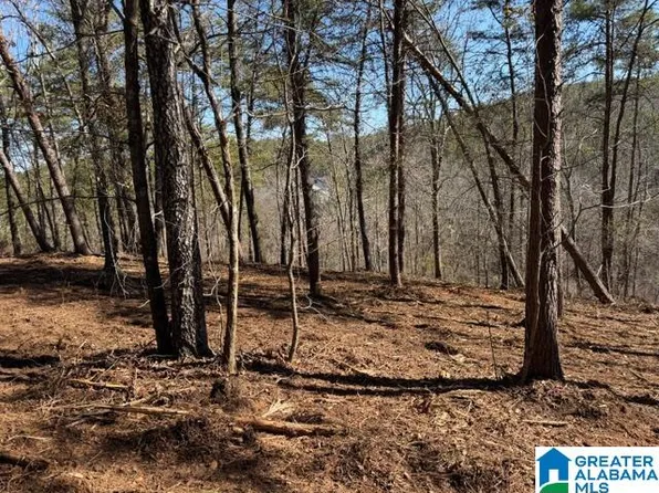 51 Aqua Dr #51, Wedowee, AL 36278