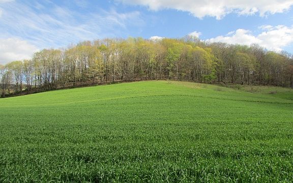 3rd image of 7805 W Blue Grass Trl
