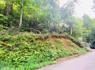 Beach Front Lot 1144 Dr, Sevierville, TN 37876