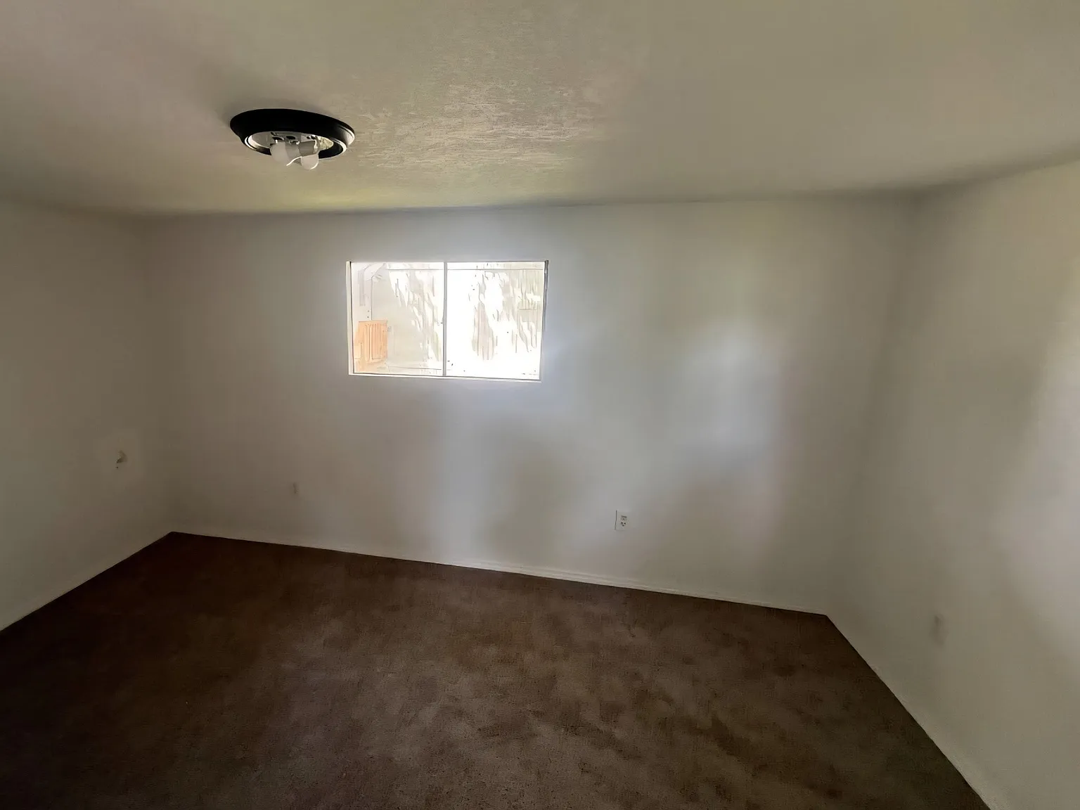 Beach Pines 30 Wafford Street — Photo 4