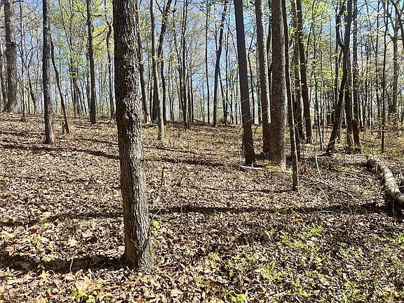 5th image of 93 Doll Mountain Rd