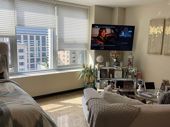 3rd image of 777 N Michigan Ave APT 2205