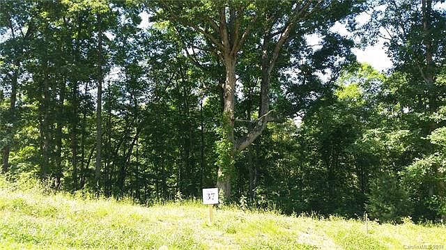 1st image of 30 Tulip Poplar Trl #37