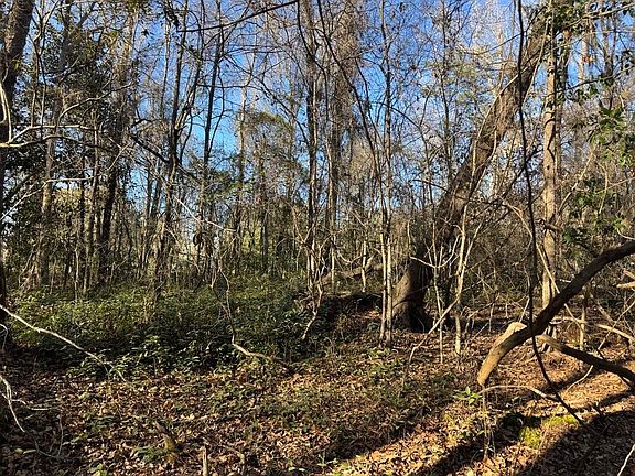 4th image of 2135 Highway 646