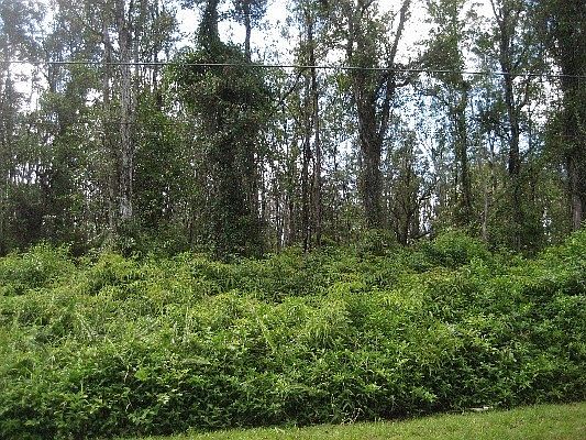 1st image of 16-2695 Ainaloa Dr Lot 16