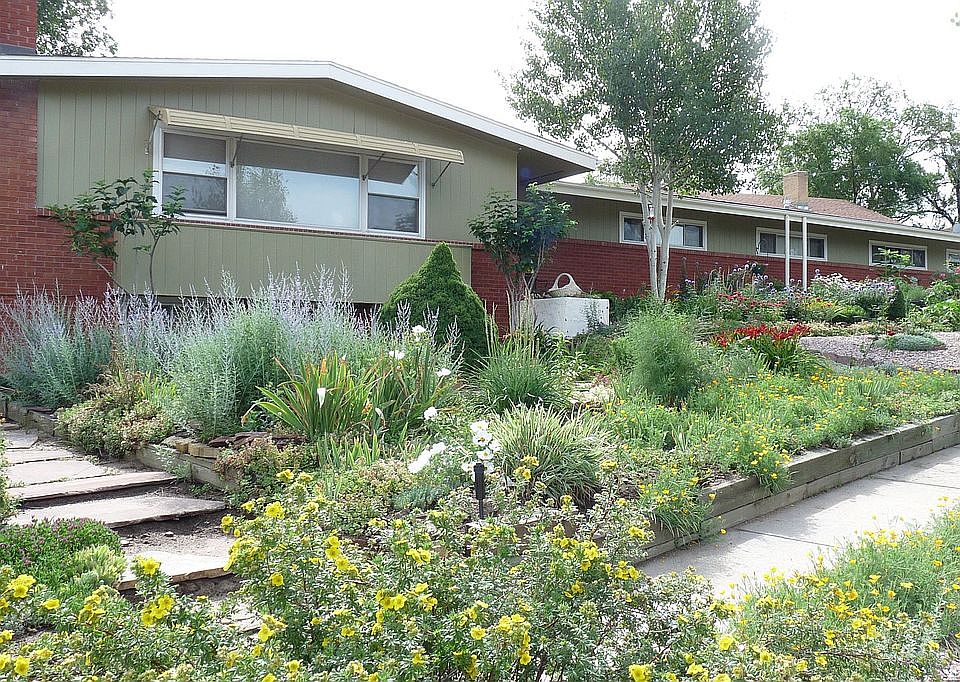 More gardens, perennials, herbs, vegetables & shrubs