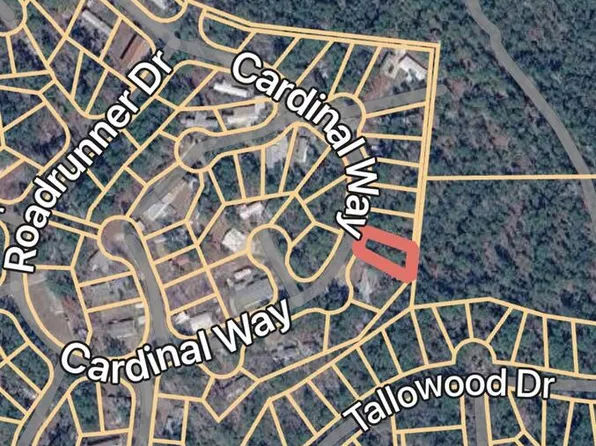 LOT 117 Cardinal Way, Brookeland, TX 75931