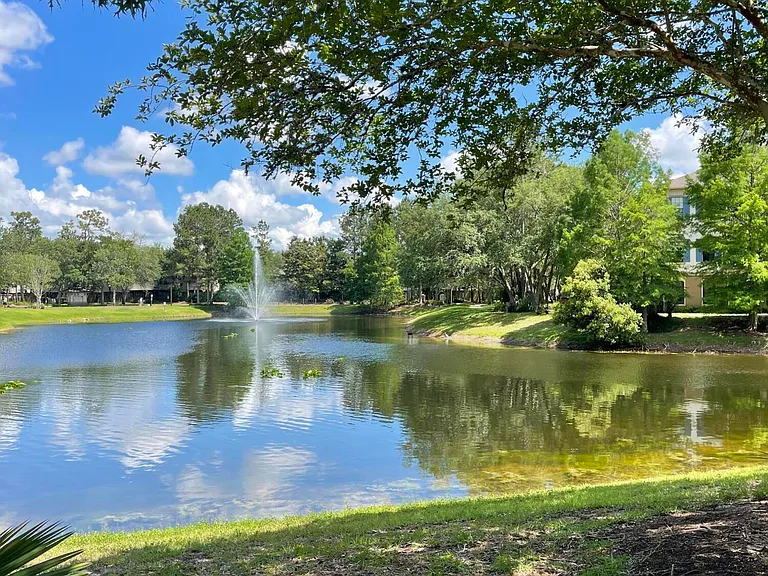 12700 Bartram Park Blvd #2423 — Photo 24