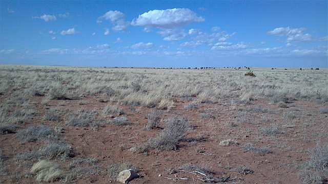 2nd image of LOT 487 Chevelon Canyon Dr