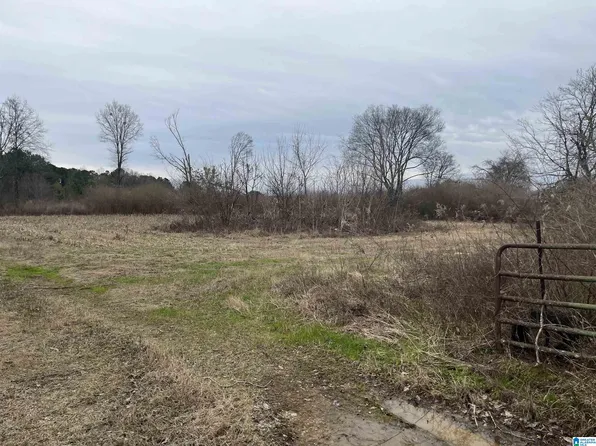 7280_33A Highway 62 #33A, Vincent, AL 35178