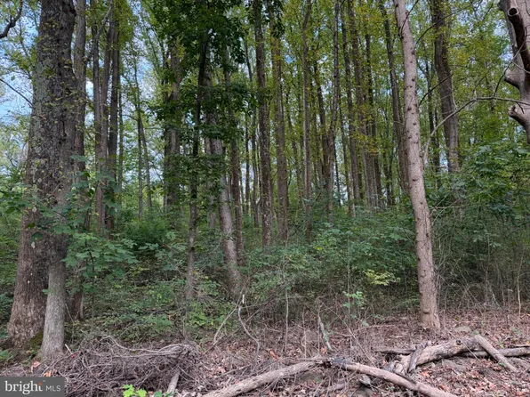 Smith Run Rd, Bentonville, VA 22610