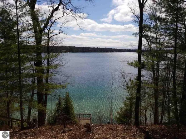1354 W Bear Lake Rd NE, Kalkaska, MI 49646