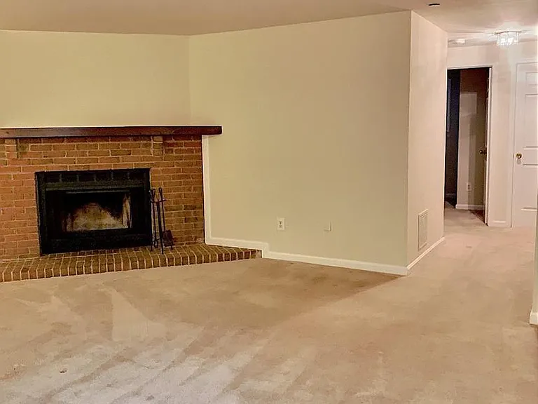3100 Black Hickory Dr — Photo 16