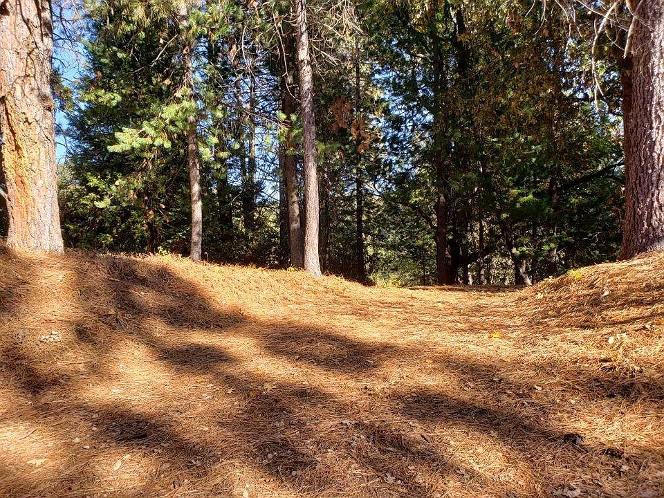 1st image of 1812 Sandalwood Dr