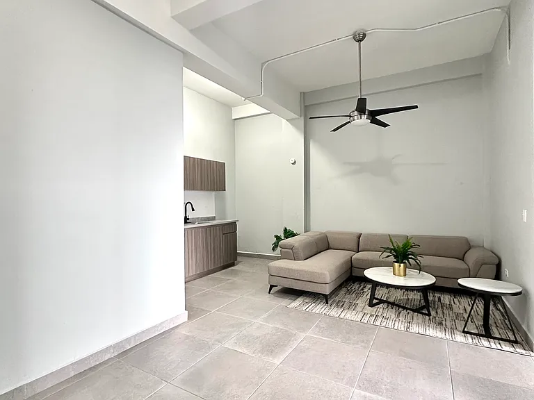 1504 Fernandez Juncos Ave #D — Photo 2