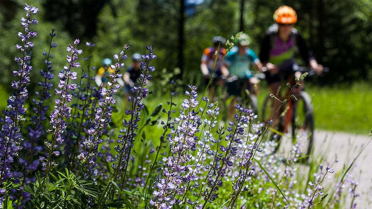 Homes Available Soon, The Estates Collection at Murphy Creek