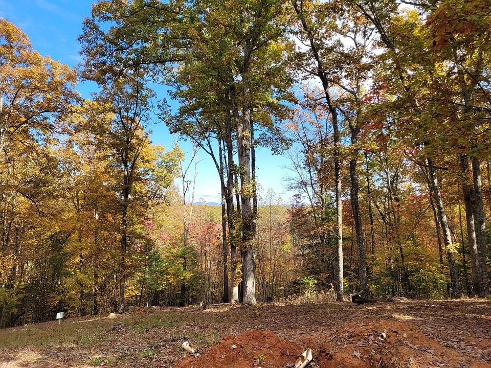 2nd image of 305 Antler Ln