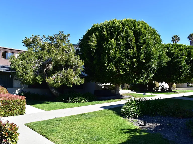2596 Spyglass Dr #A — Photo 19