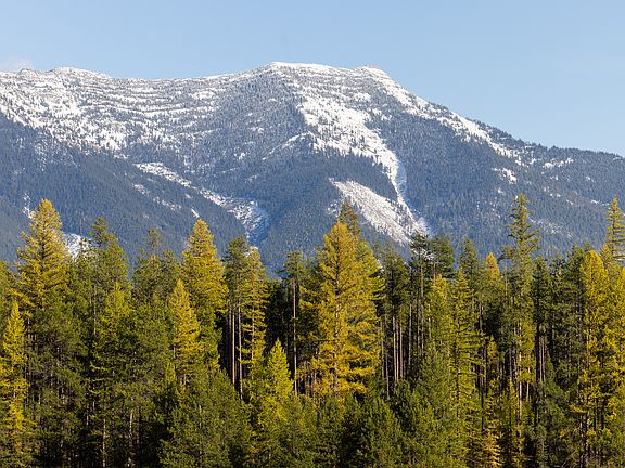 120th image of this home