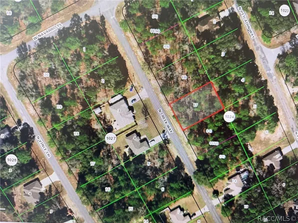 8079 N Creek Way, Citrus Springs, FL 34434