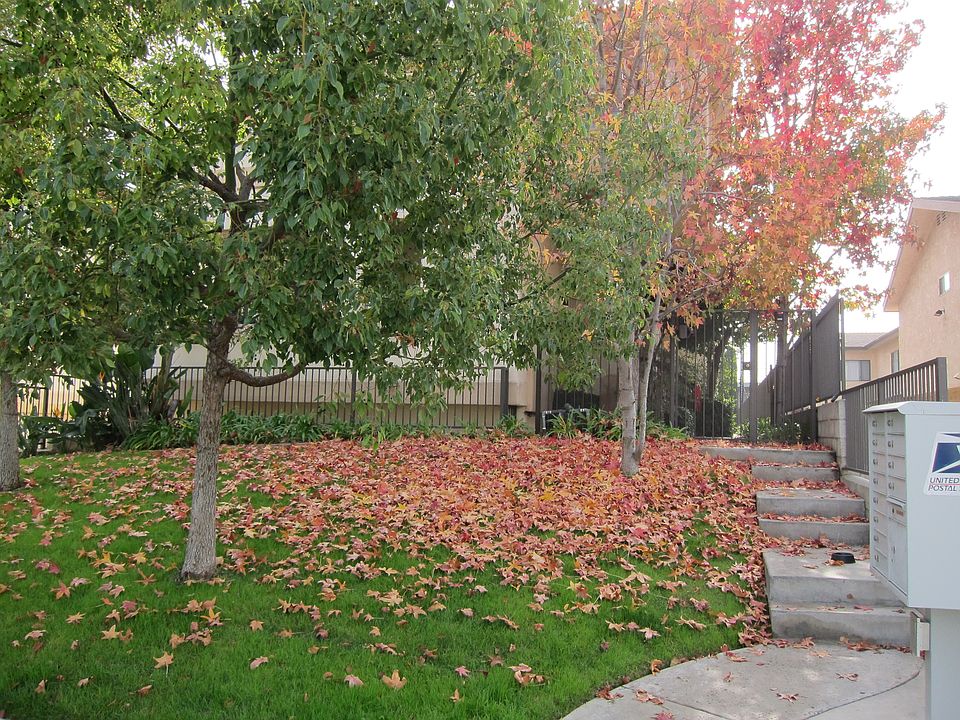 1st image of 11510 215th St Unit 3