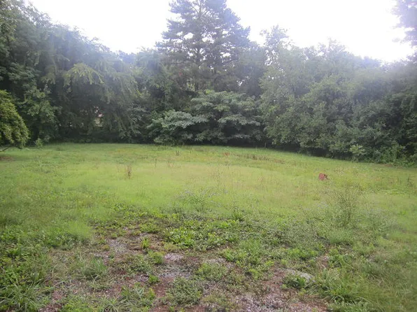 314 A St, Chase City, VA 23924