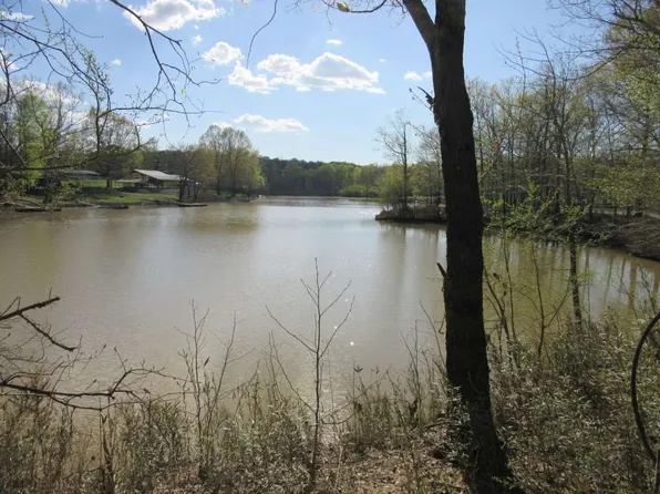 17 Twin Peaks Cv, Bath Springs, TN 38311