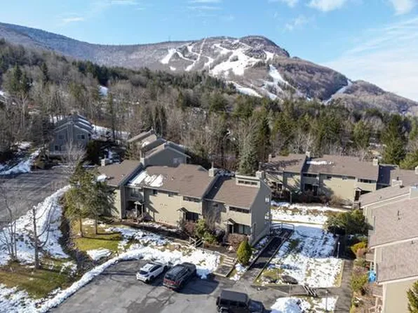 76 Highlands Drive #C2, Hunter, NY 12442