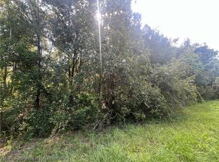 1385 S Jeter Rd, Avon Park, FL 33825