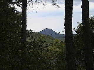 back deck view