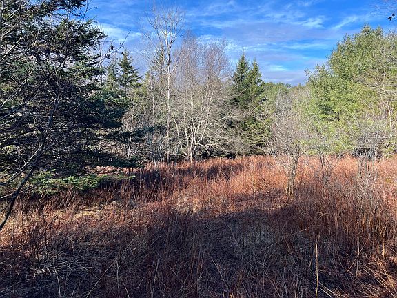 2nd image of 181 Gray Meadow Road