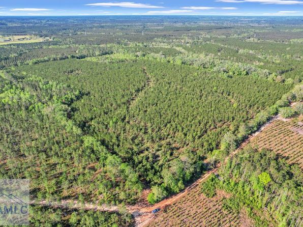 0 Mildred Bush Rd, Surrency, GA 31563