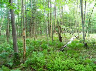 Range St, Mears, MI 49436