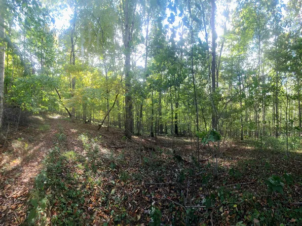 122 Bear View Trl, Hillsboro, WV 24946