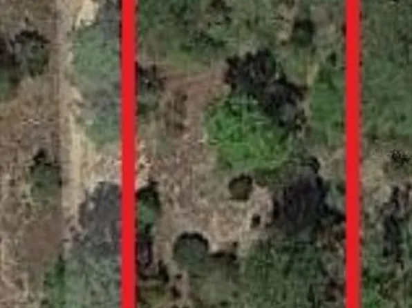 326 Elm Trl Lot 40, Interlachen, FL 32148