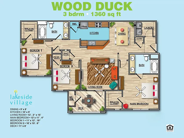 Wood Duck A Wood Duck A