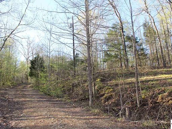 3rd image of 93 Spring Hill Dr