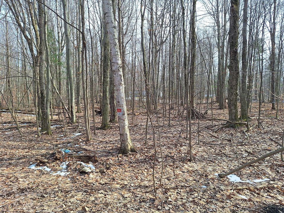 1st image of V/l Birch Street 12 Blvd Lot 10-11-13