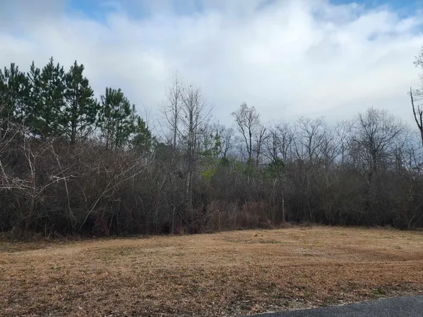 0 Meldrum St, Cullman, AL 35055