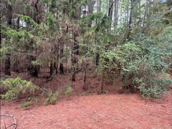 269 Sand Jack Dr, Bullard, TX 75757