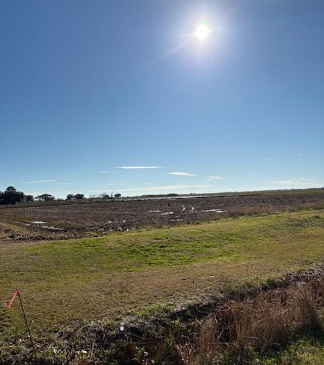 1st image of Cleo Rd