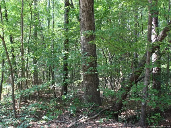 2064 Falling Strm, Sanford, NC 27332