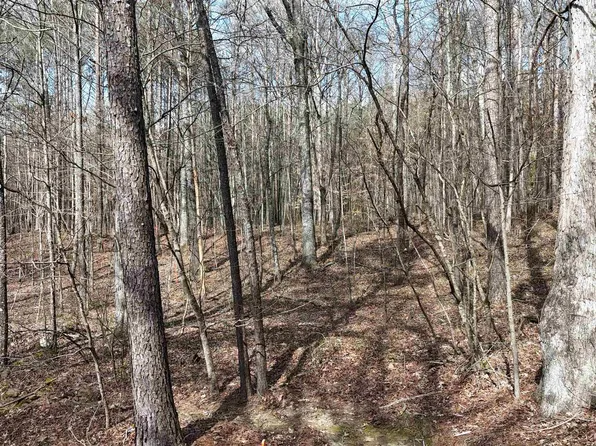 2 Toney Dr, Altoona, AL 35952