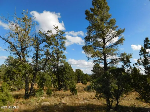 8276 Haven Crest Dr, Happy Jack, AZ 86024