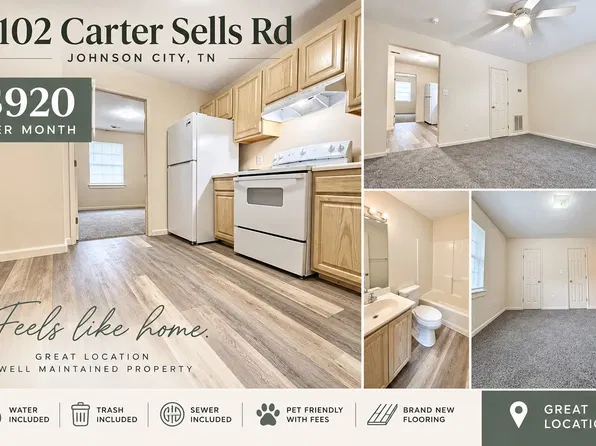 102 Carter Sells Rd, Johnson City, TN 37604