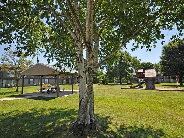Pavilion & Playground